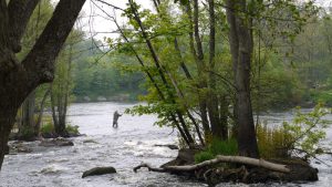 Besök på Laxens hus i Mörrum